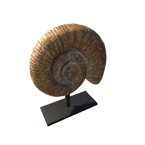 Fossil 1